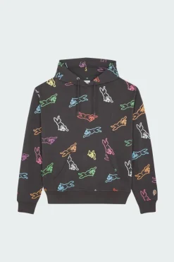 A/O RUNNING DOG - Hoodie | Multicolore*ICE CREAM Best