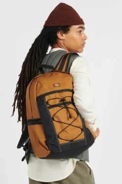 ASHVILLE BAC - Sac à dos | Marron*DICKIES Best