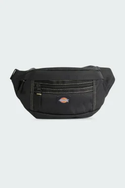 ASHVILLE POUCH - Sac banane | Noir*DICKIES Best