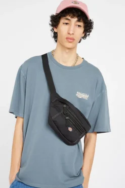 ASHVILLE POUCH - Sac banane | Noir*DICKIES Best