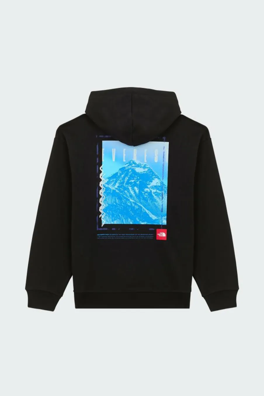 AXYS - Hoodie | Noir*THE NORTH FACE Sale