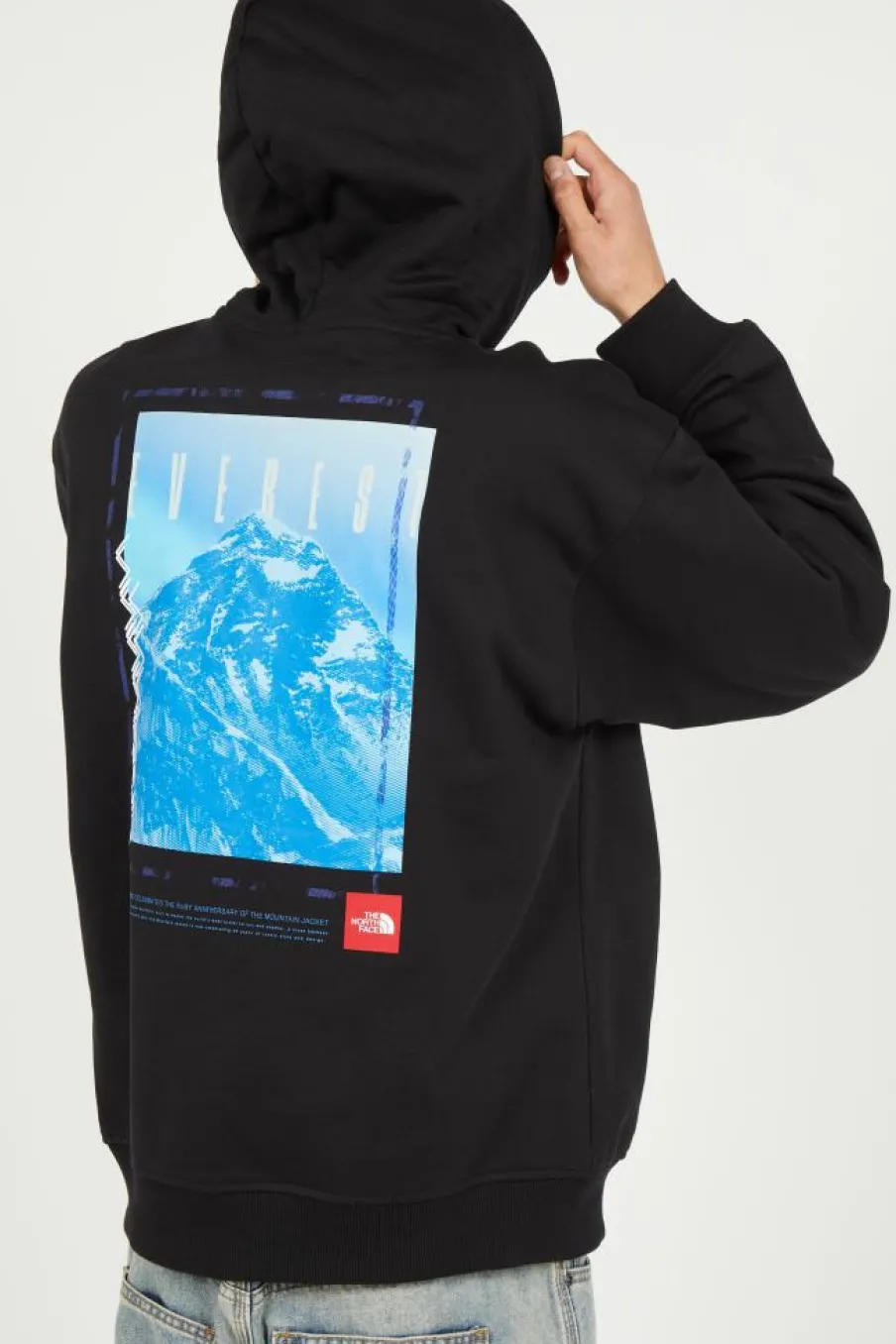 AXYS - Hoodie | Noir*THE NORTH FACE Sale