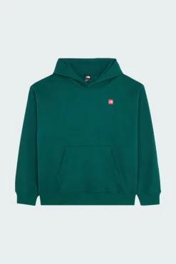AXYS - Hoodie | Vert*THE NORTH FACE Online