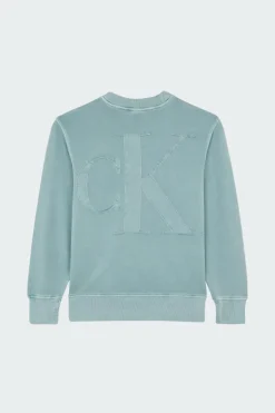 BOLD WASHED - Hoodie | Bleu*CALVIN KLEIN