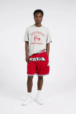 BULLDOG - T-shirt | Gris*ICE CREAM Best