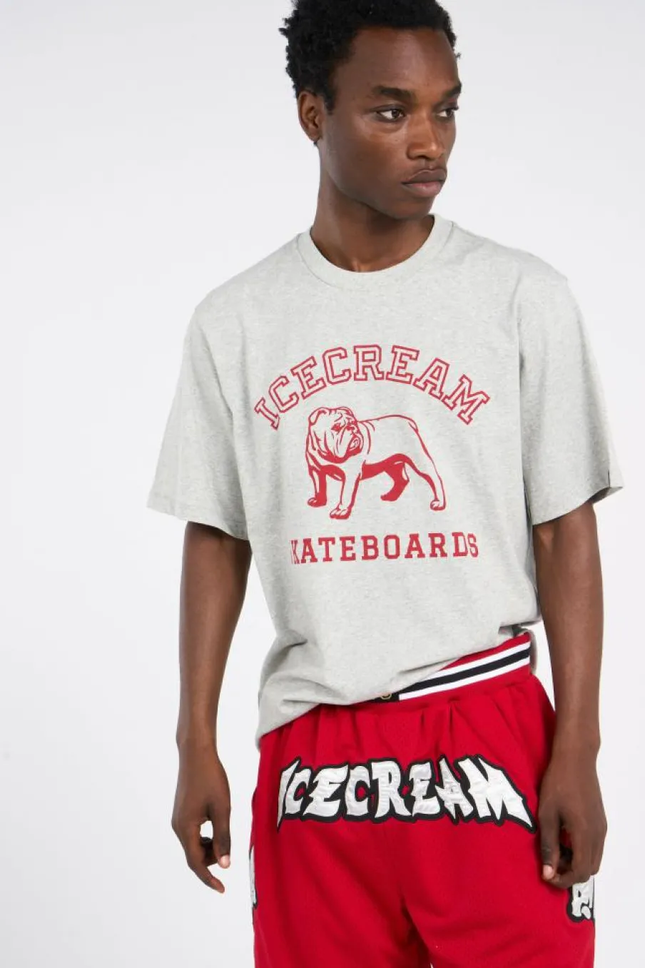 BULLDOG - T-shirt | Gris*ICE CREAM Best
