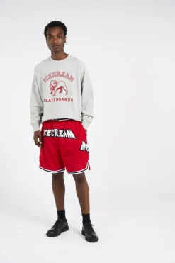 BULLDOG CRNECK HEATHER - Sweatshirt | Gris*ICE CREAM Hot