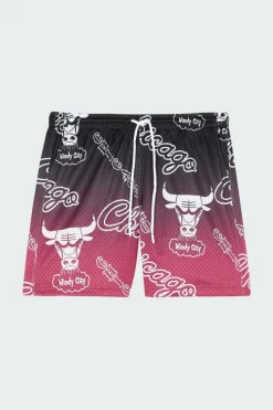 DESTINATION L - Short | Multicolore*MITCHELL & NESS New