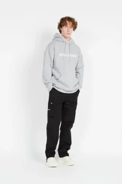 EMBLEM GREY - Hoodie | Gris*HOLOGRAM Discount