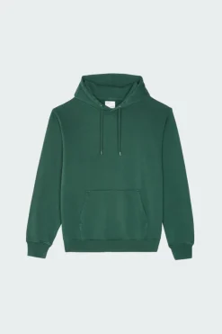 Hoodie |*COLORFUL STANDARD Discount