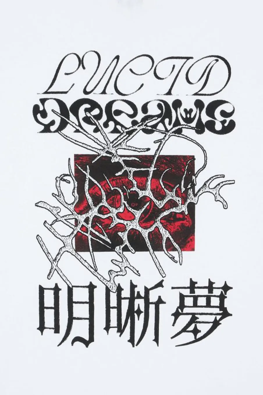 LUCID DREAMS - T-shirt | Blanc*EDWIN