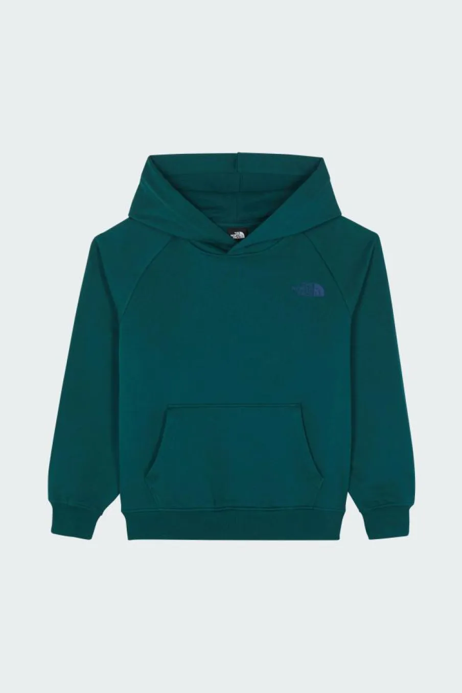M RAGLAN BOX NSE REGULAR HOODIE - Hoodie | Vert*THE NORTH FACE New