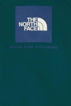 M RAGLAN BOX NSE REGULAR HOODIE - Hoodie | Vert*THE NORTH FACE New