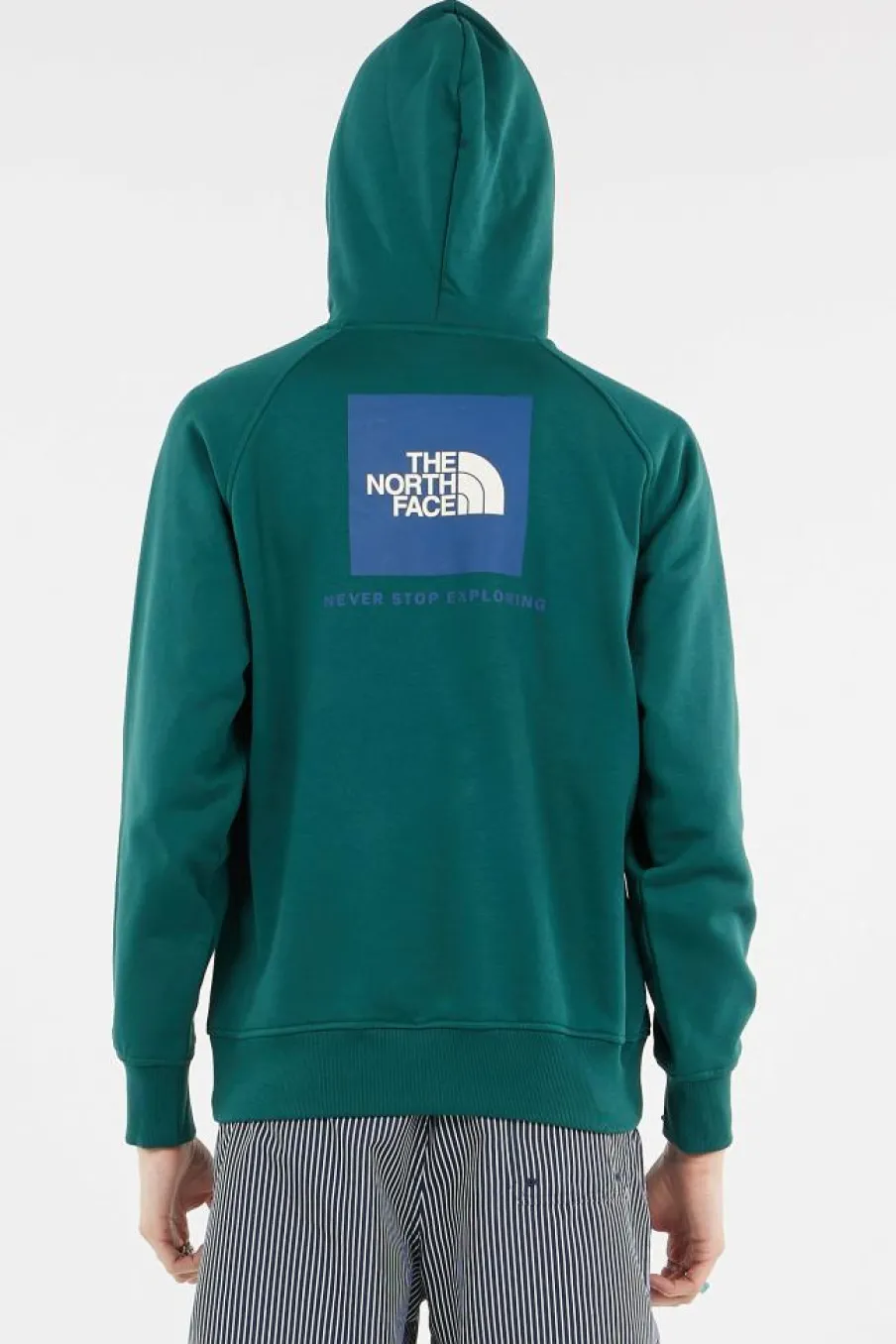 M RAGLAN BOX NSE REGULAR HOODIE - Hoodie | Vert*THE NORTH FACE New