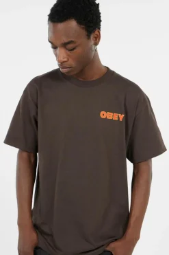 STAR - T-shirt | Marron*OBEY New
