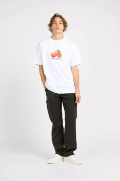 OG PAINTER PANT - Pantalon | Marron*STAN RAY
