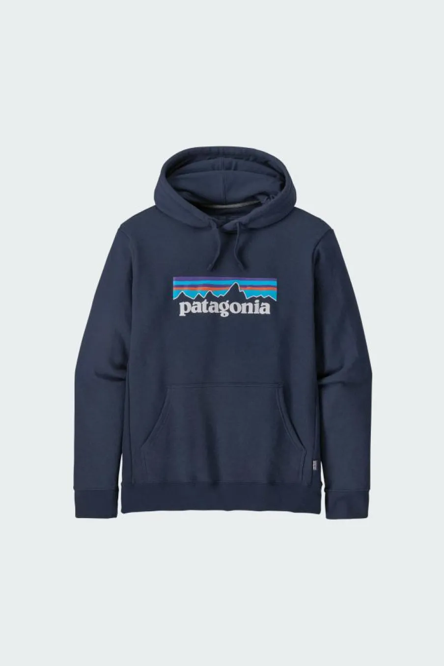 P-6 LOGO UPRISAL - Hoodie | Bleu*PATAGONIA