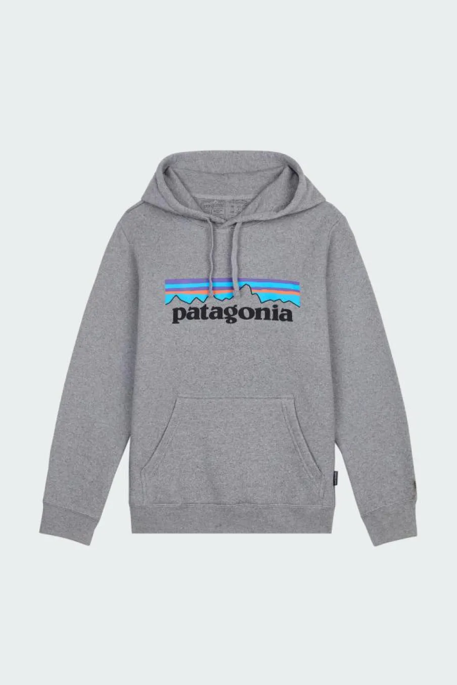 P-6 LOGO UPRISAL - Hoodie | Gris*PATAGONIA Hot