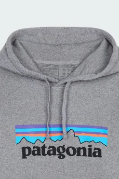 P-6 LOGO UPRISAL - Hoodie | Gris*PATAGONIA Hot