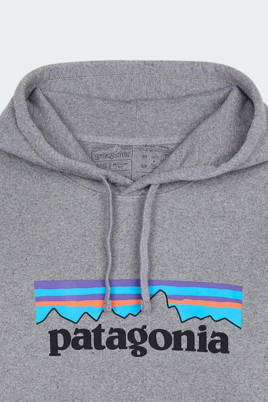 P-6 LOGO UPRISAL - Hoodie | Gris*PATAGONIA Hot