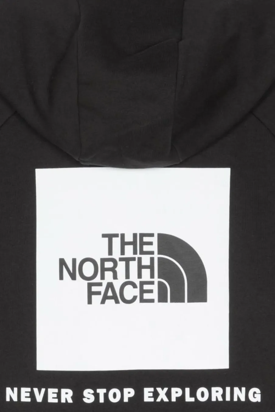RAGLAN RED BOX - Hoodie | Noir*THE NORTH FACE Outlet
