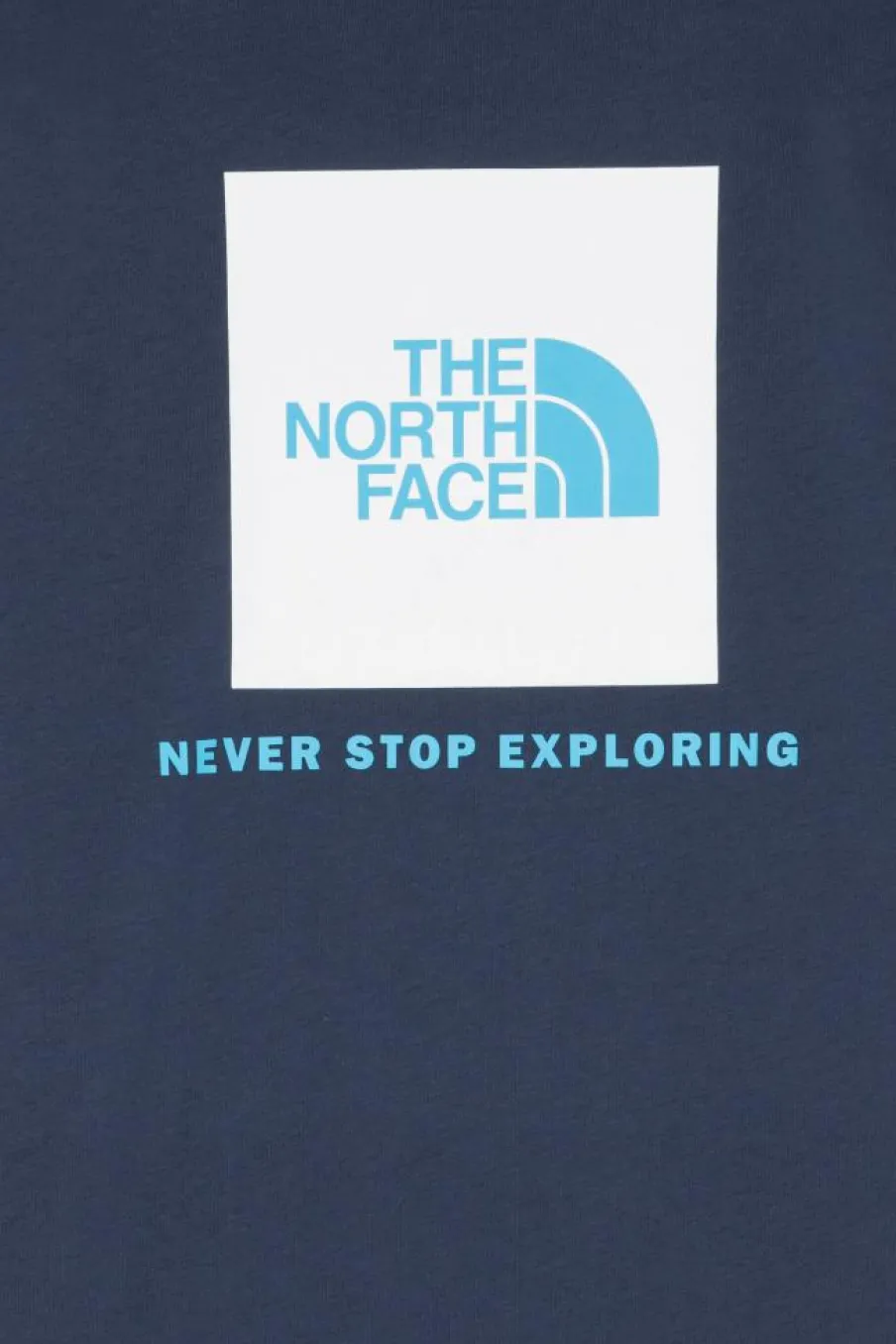REDBOX - T-shirt | Bleu*THE NORTH FACE Hot
