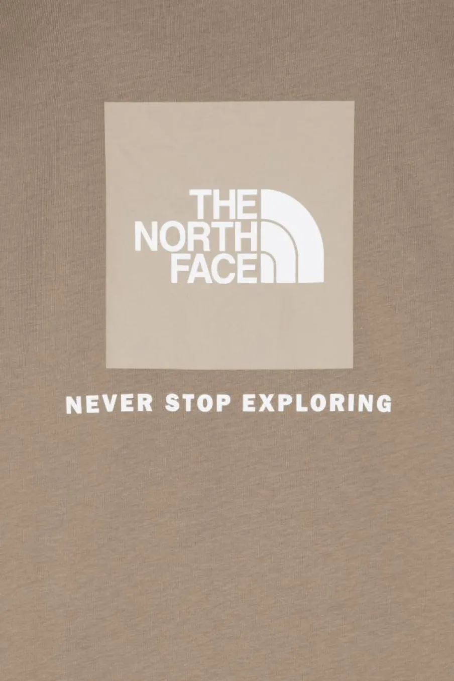 REDBOX - T-shirt | Marron*THE NORTH FACE Sale