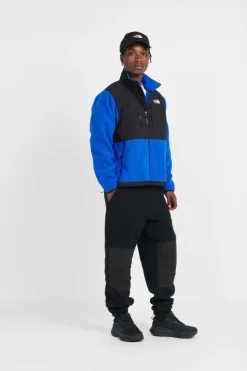 RETRO DENALI - Veste | Bleu*THE NORTH FACE Sale
