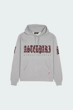 SHIELD - Hoodie | Gris*WASTED Best