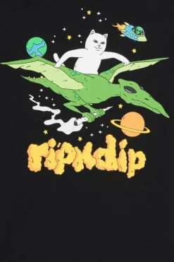 SPACE BIRD - T-shirt | Noir*RIPNDIP Discount