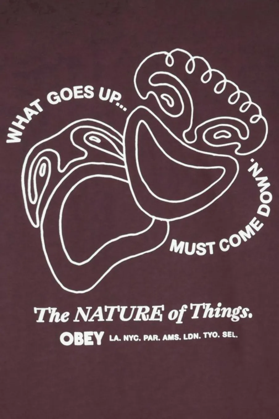 THE NATURE OF - Sweatshirt | Violet*OBEY New