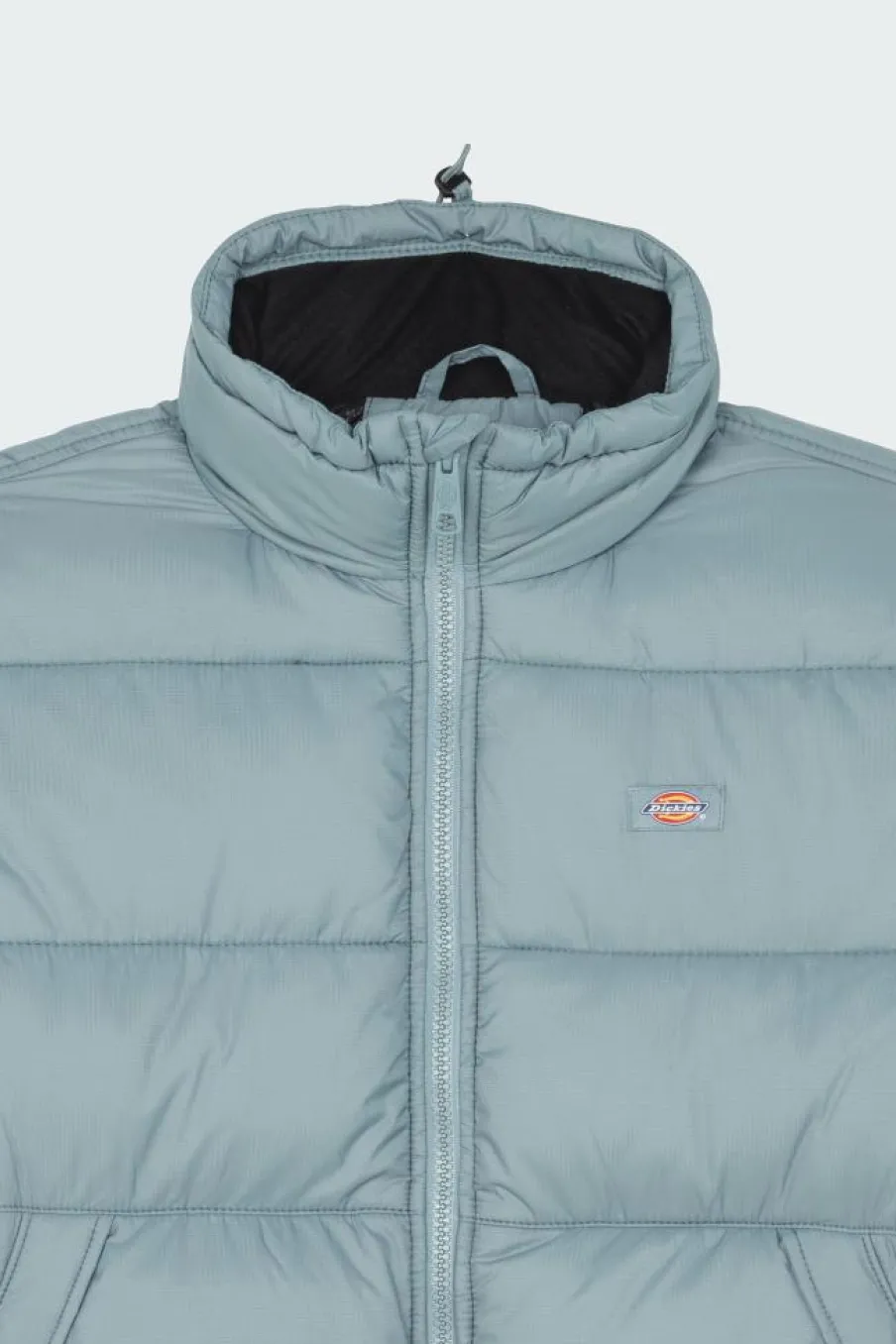 WALDENBURG TROOPER - Doudoune | Bleu*DICKIES