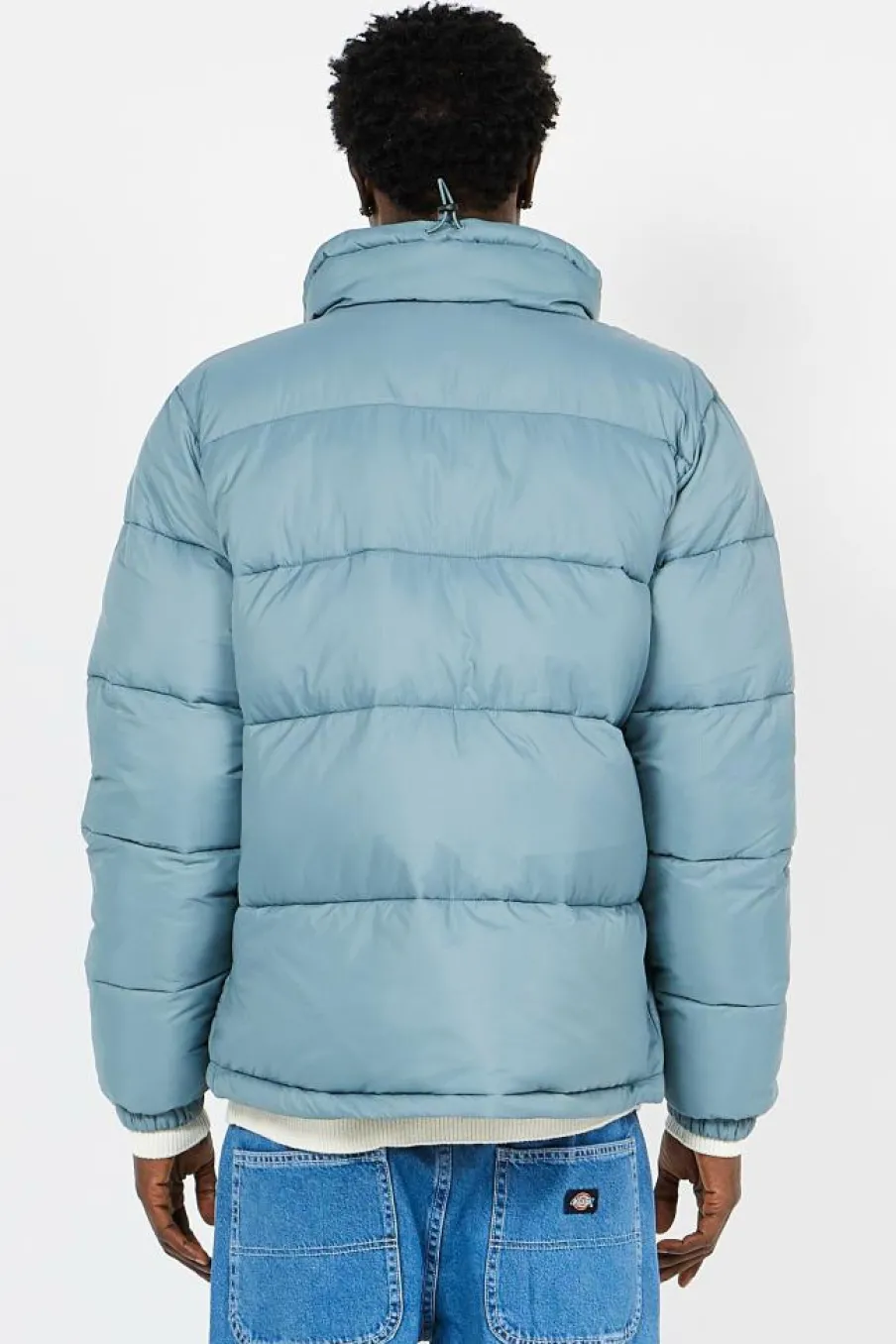 WALDENBURG TROOPER - Doudoune | Bleu*DICKIES