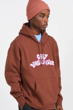 YEAR HOOD HD SEP - Hoodie | Marron*OBEY Discount